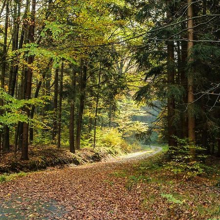 Weinberghaus Prossen Villa Bad Schandau Luaran gambar